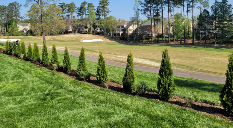 commercial lawn and tree installation
